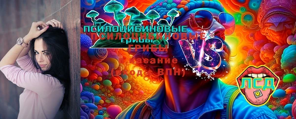 гашиш Карпинск